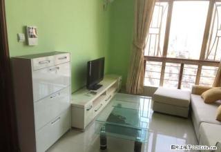 逢源公寓两房新装修出租，2300新装修新家私家电。拎包入住！ - 中山28生活网 zs.28life.com