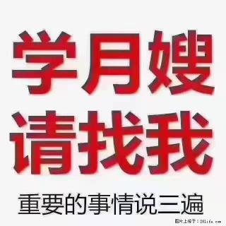 【招聘】月嫂，上海徐汇区 - 中山28生活网 zs.28life.com