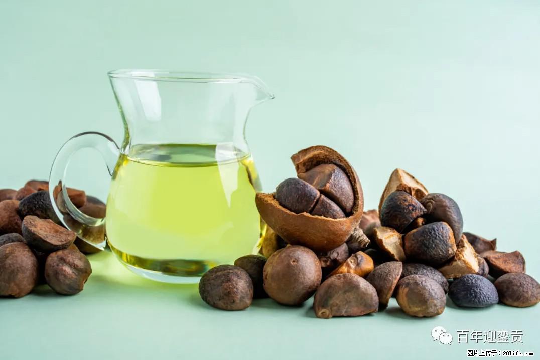 世界没有真相，只有认知，最好的食用油是中国的山茶油！ - 中山生活资讯 - 中山28生活网 zs.28life.com