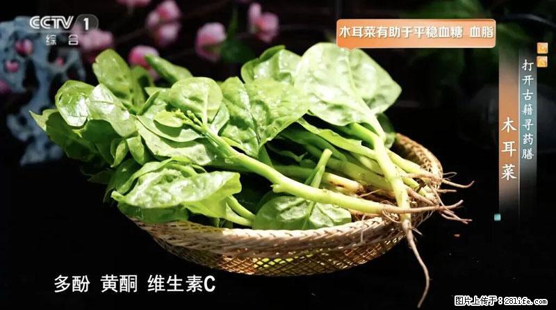 比牛奶补钙还厉害！凉血解毒、稳血糖...这菜冬天必吃，很多人却当草 - 中山生活资讯 - 中山28生活网 zs.28life.com