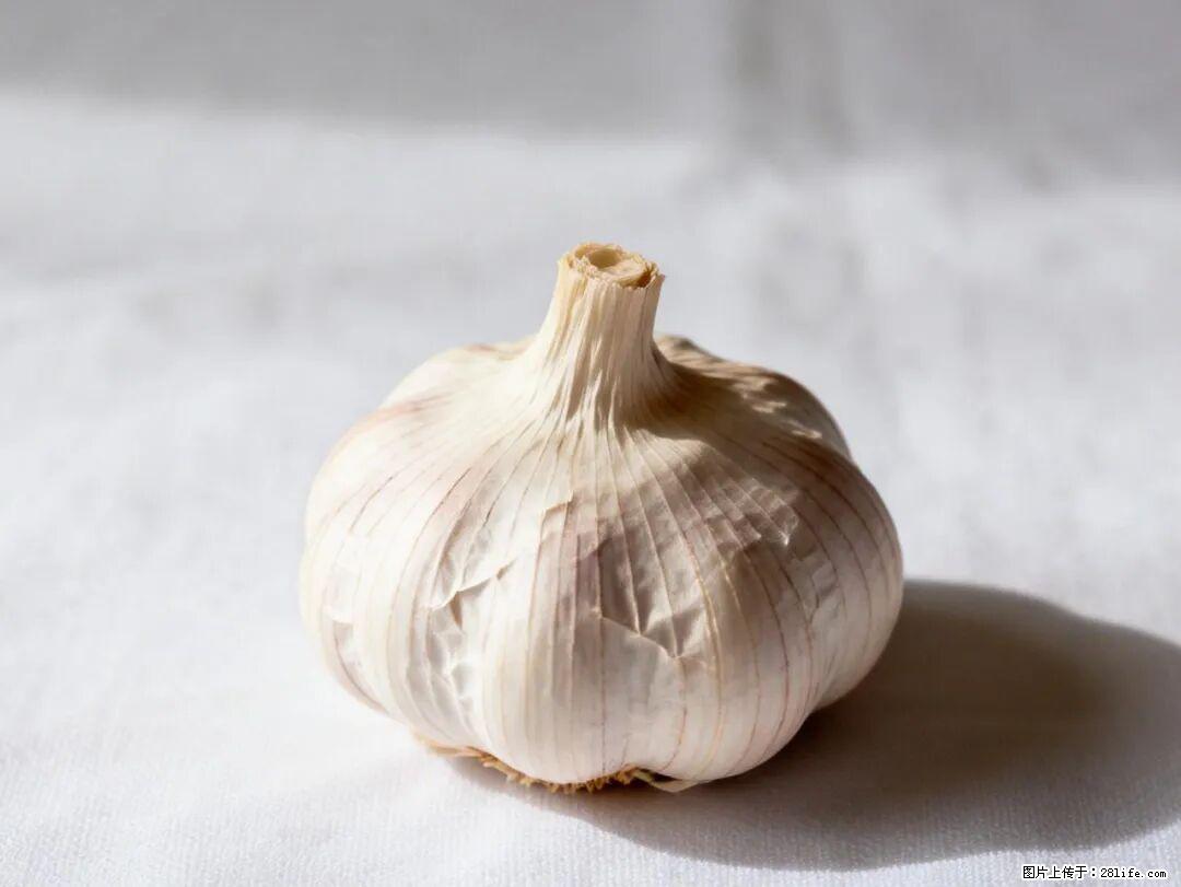 关于大蒜,除了“天然抗生素”,这4个谣言更该警惕! - 中山生活资讯 - 中山28生活网 zs.28life.com