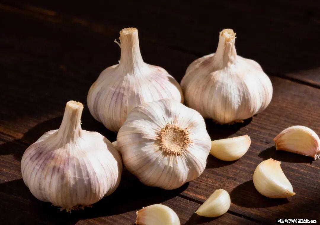 关于大蒜,除了“天然抗生素”,这4个谣言更该警惕! - 中山生活资讯 - 中山28生活网 zs.28life.com