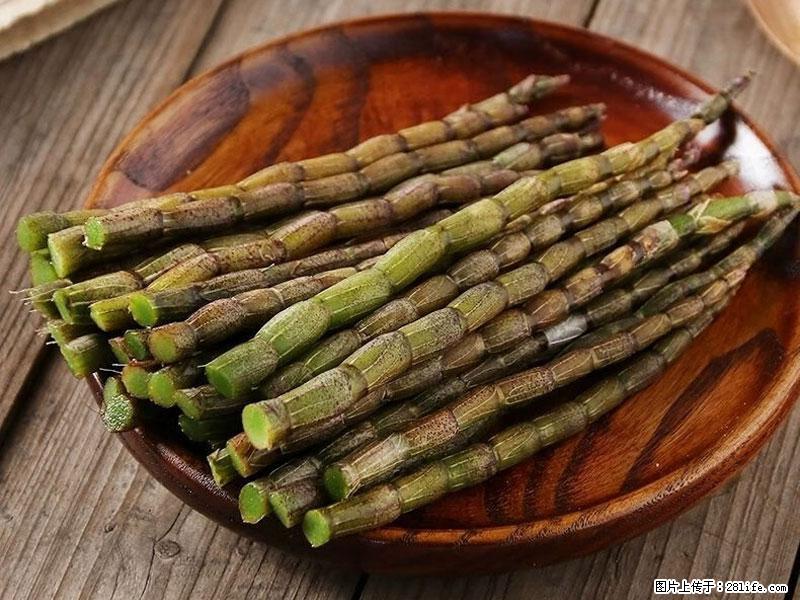 铁皮石斛的作用与功能主治 - 中山生活资讯 - 中山28生活网 zs.28life.com