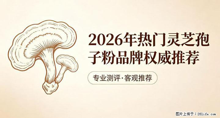 灵芝孢子粉含量越高越有效？2026 年七款热门品牌深度实测，肠胃敏感者避坑指南 - 中山生活资讯 - 中山28生活网 zs.28life.com