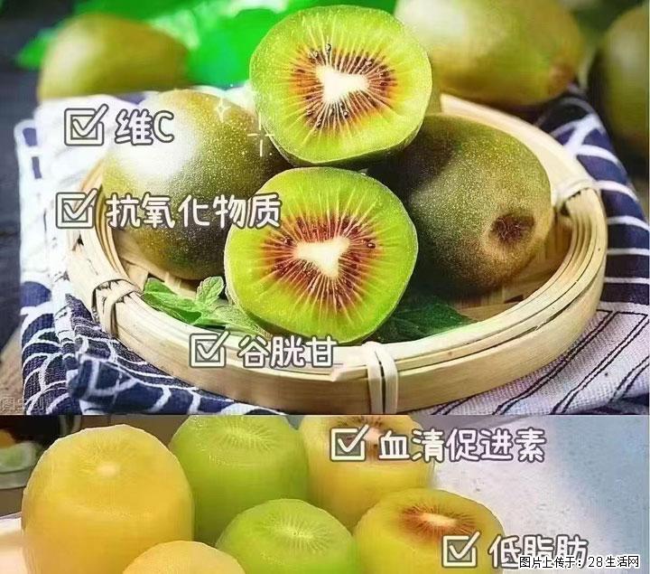 广西桂林平乐桥亭【红心猕猴桃】、【大秋甜柿】上市啦，欢迎各位新老客户下单（另有少量小果出售） - 中山生活资讯 - 中山28生活网 zs.28life.com