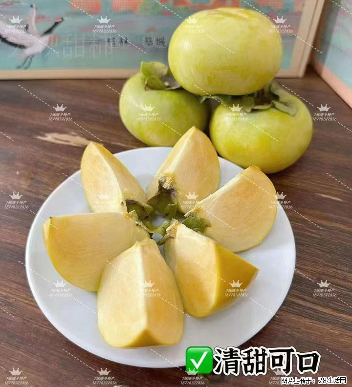 广西桂林平乐桥亭【红心猕猴桃】、【大秋甜柿】上市啦，欢迎各位新老客户下单（另有少量小果出售） - 中山生活资讯 - 中山28生活网 zs.28life.com